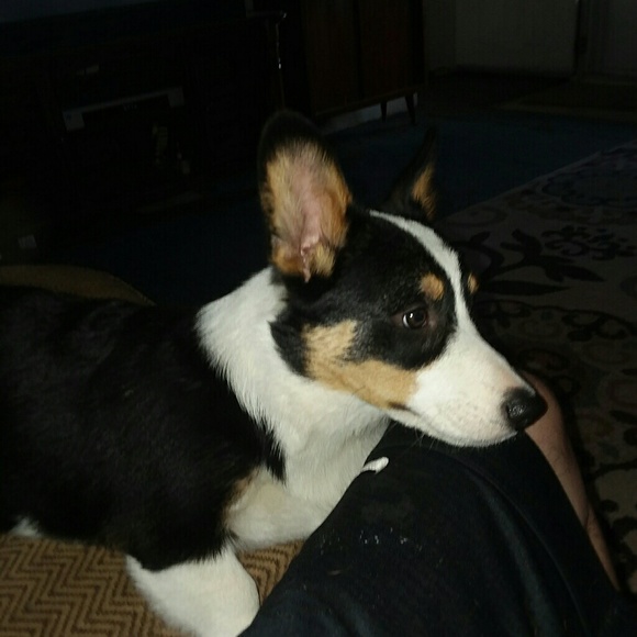 Meet your Posher, Jc - Picture 1 of 1